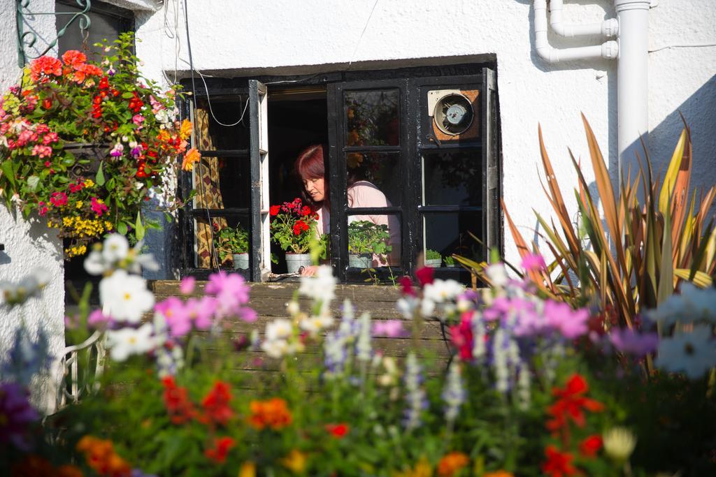 The Cott Inn Totnes Eksteriør billede